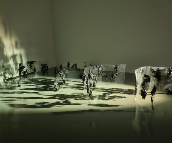 Border, Reinforcement Mesh, Expanding foam, Mixed Media, Lioght, 2021