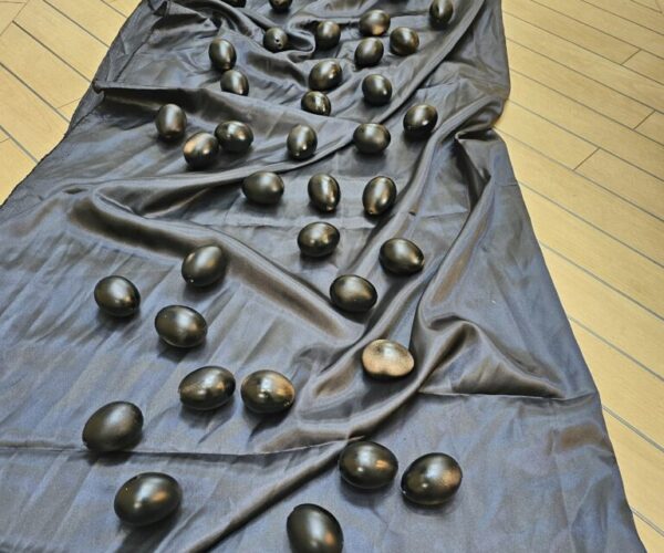 Dare To Walk Over Me,Installation 2m x 3m, Egg shells & Fabric, 2024