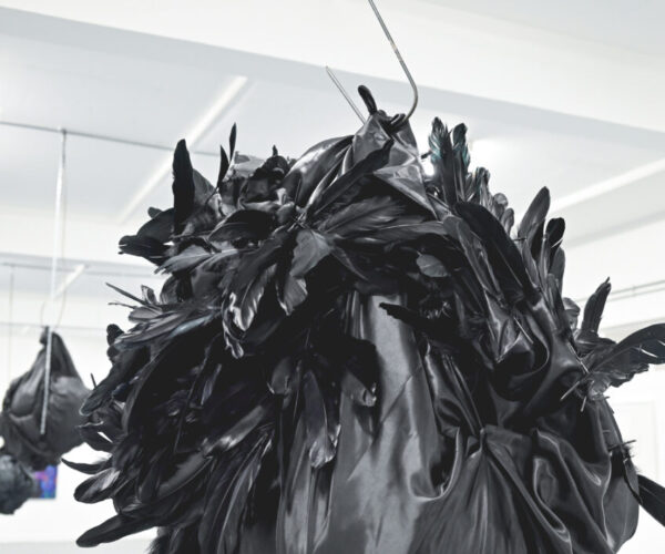 Hooked, Installation, Fabric, Feather, Metal Chain & Steel, 2024 (2)